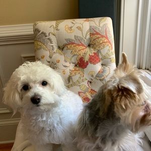 Meet your Posher, Yaritza